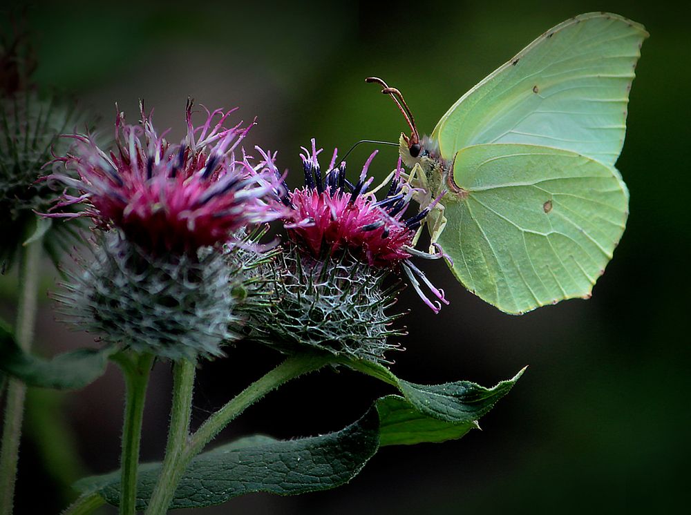 Photograph by Зоя Быкова