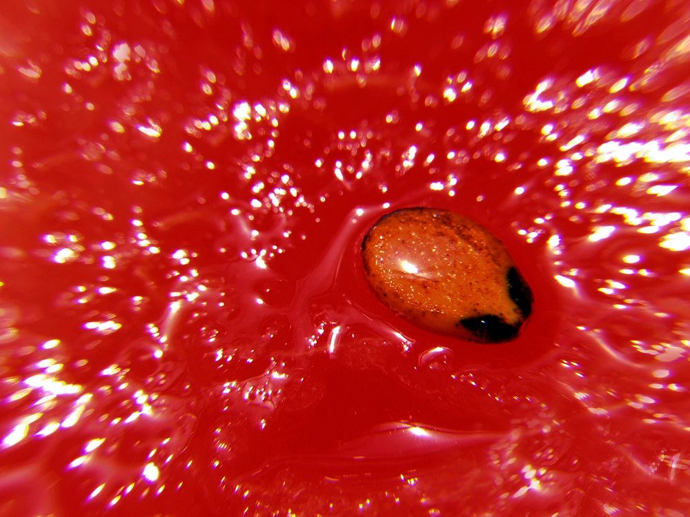 Photograph by Farid Ataei