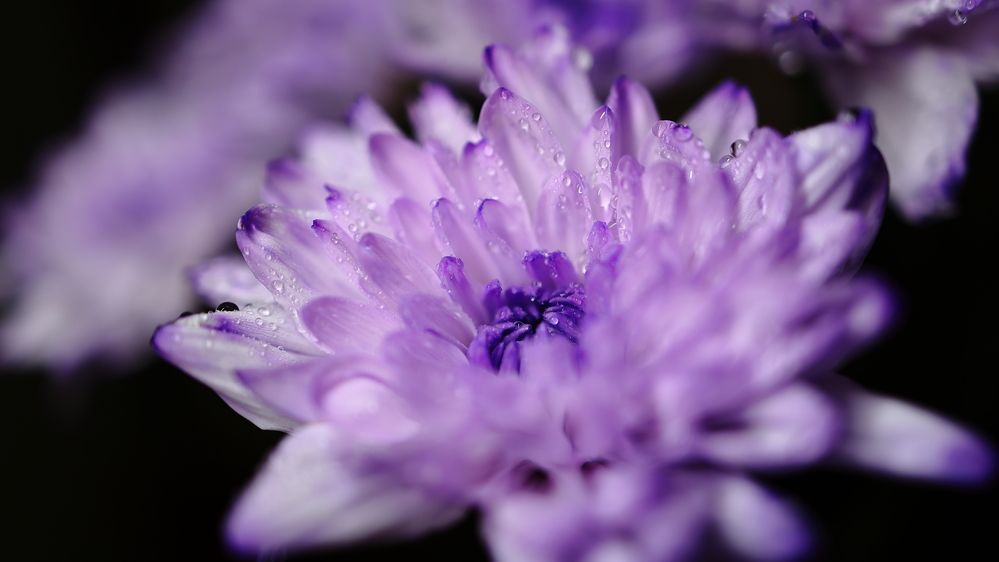 Photograph by Михаил Силантьев