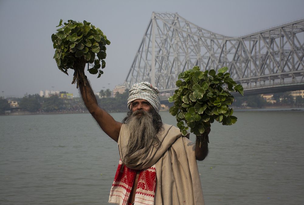 Фотография автора Nilanjan Saha