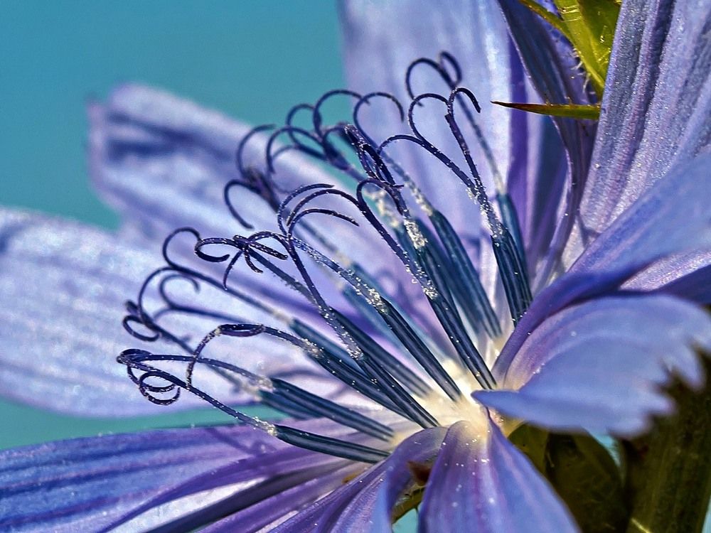 Photograph by Борис Полтавец