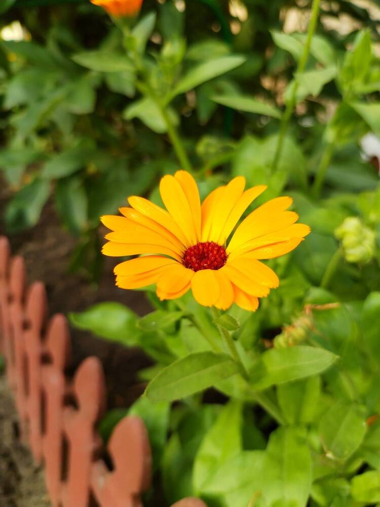 Photograph by Юлия Ю.