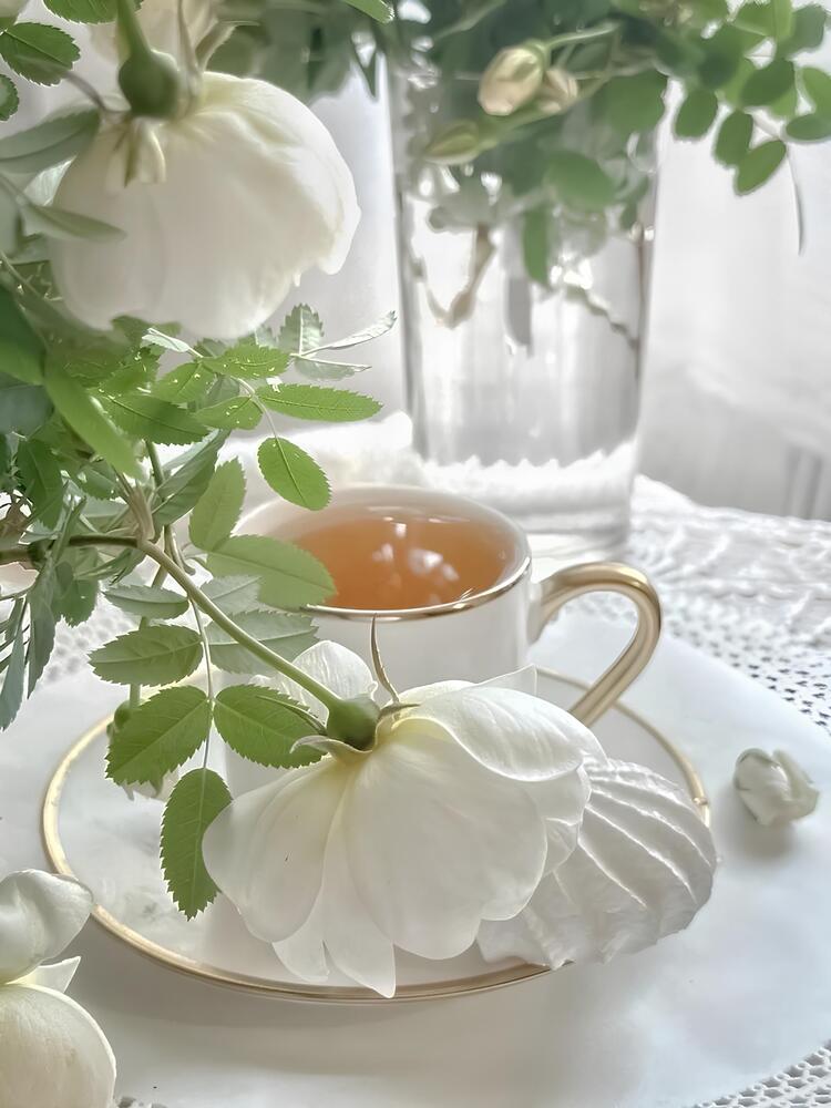 Photograph by Елена Мулькова