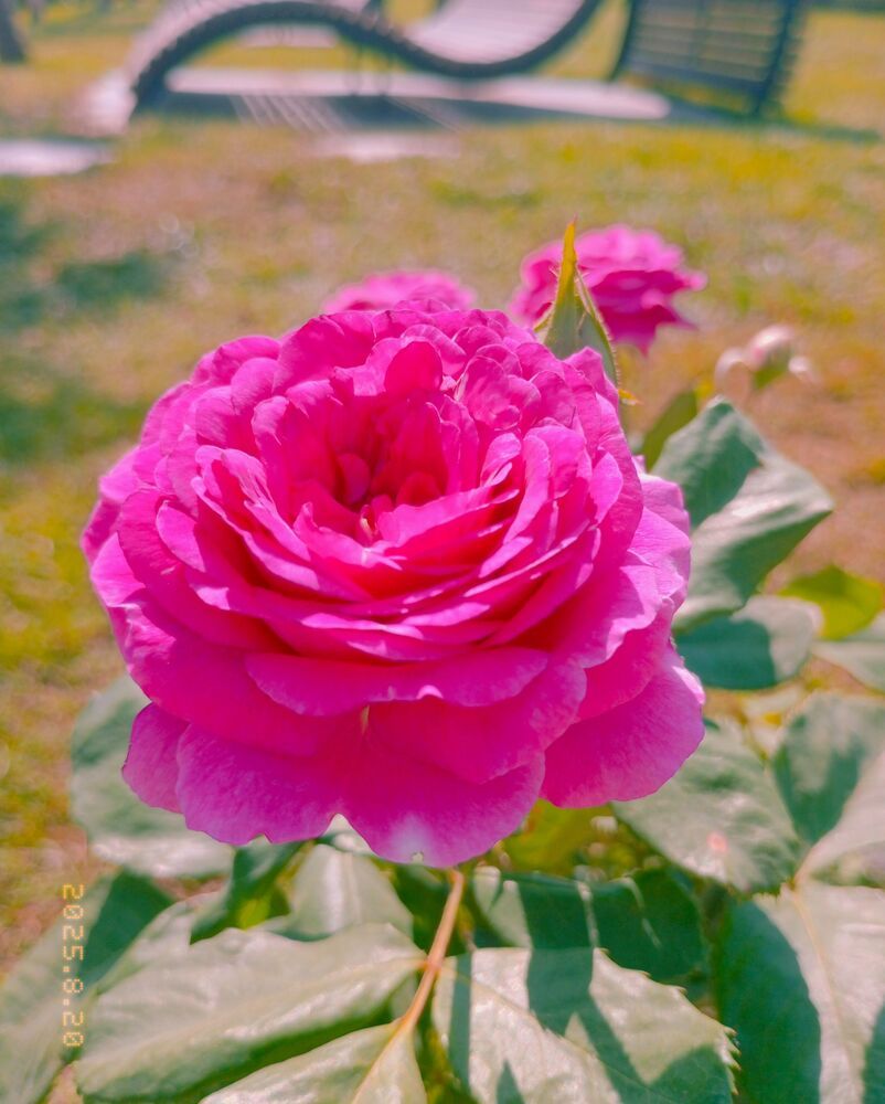 Photograph by Савина Анастасия Николаевна