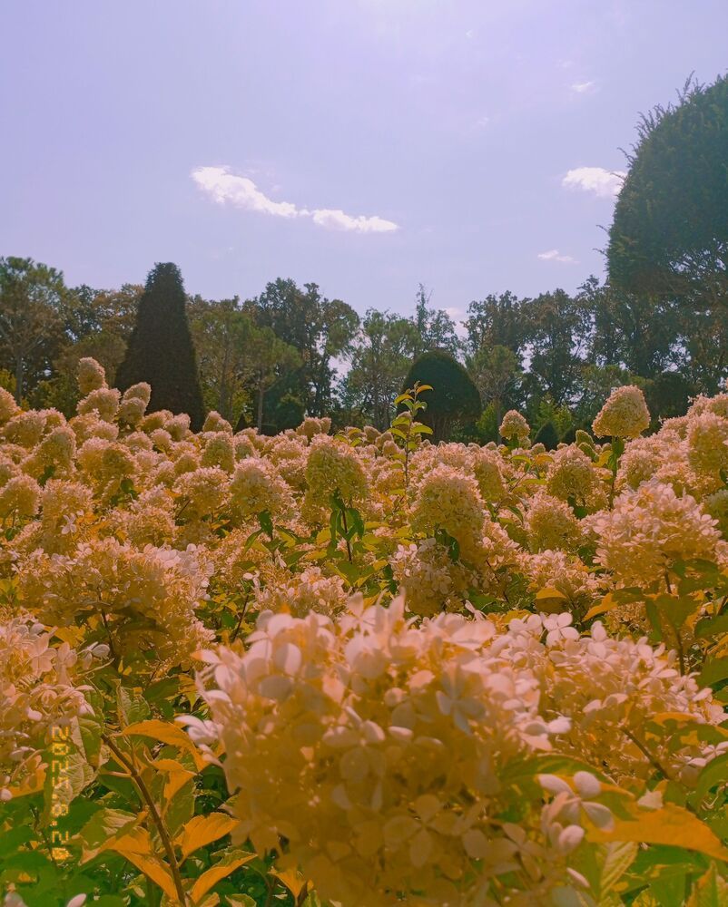 Photograph by Савина Анастасия Николаевна