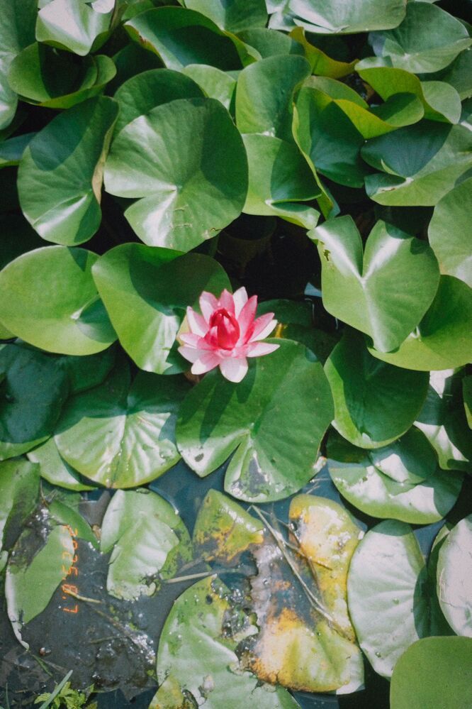 Photograph by Савина Анастасия Николаевна