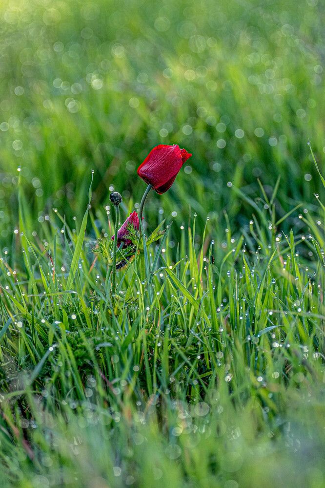 Photograph by Igor Shulkin