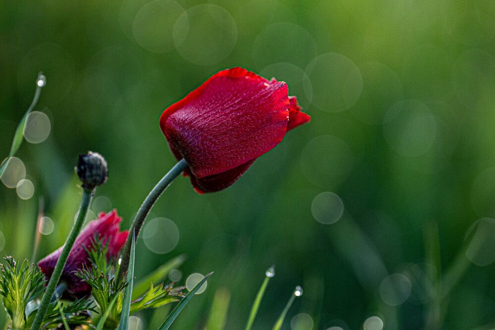 Photograph by Igor Shulkin