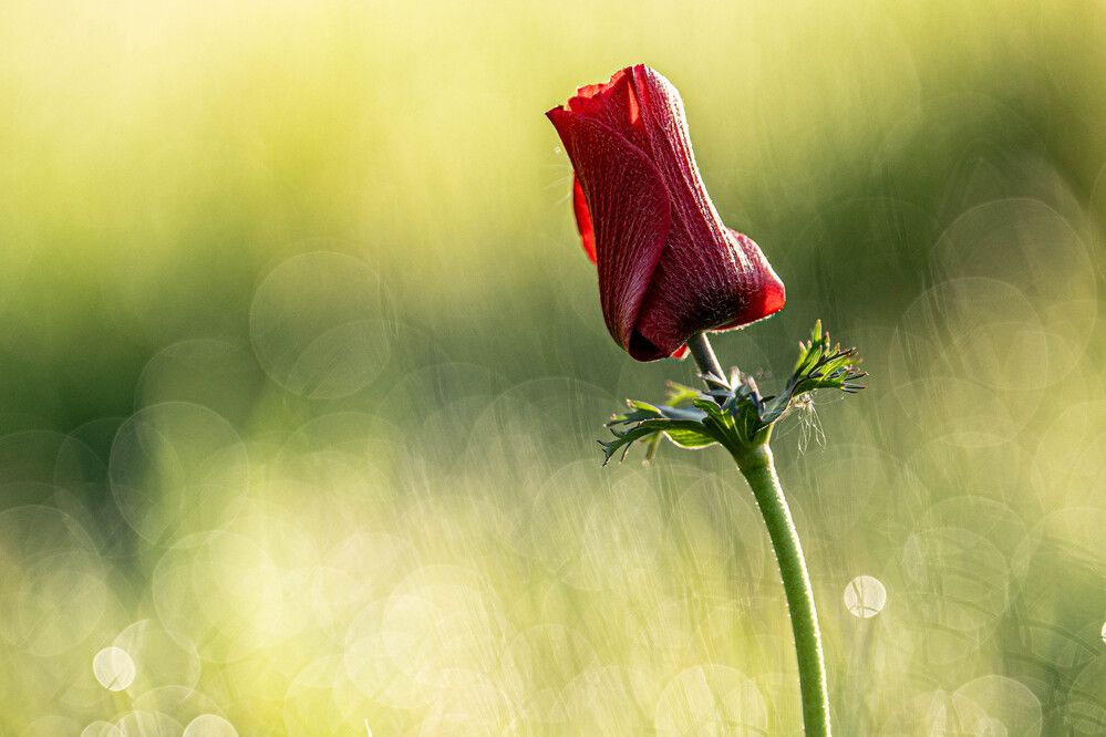 Photograph by Igor Shulkin