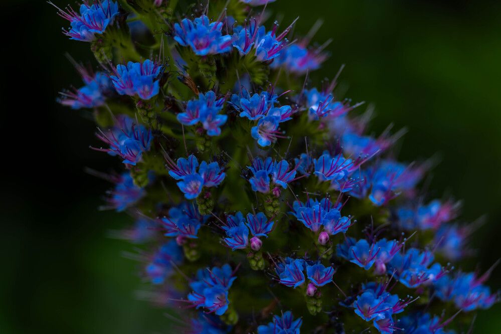 Photograph by Igor Shulkin