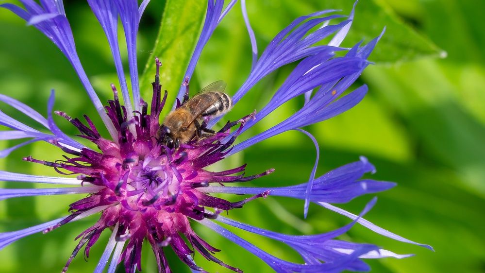 Фотография автора Ольга Зимина