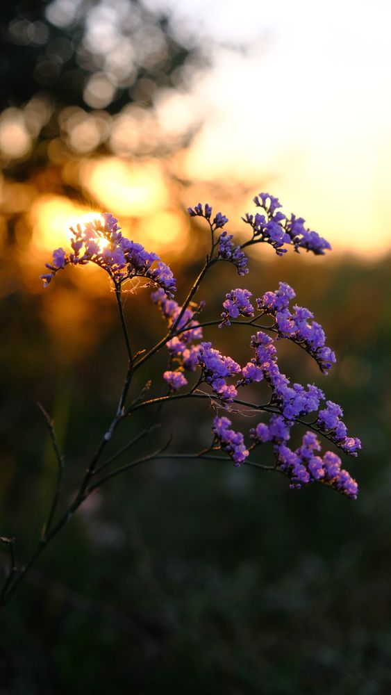 Photograph by Яна Истоцкая