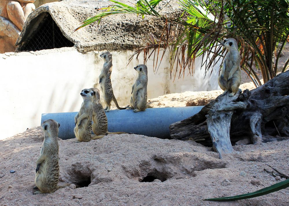 Photograph by Елена Поспелова