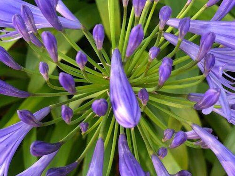 Photograph by CARMEN RAMON CAMI