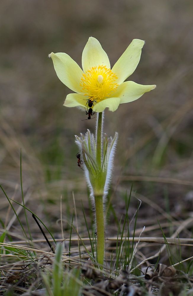 Photograph by Андрей Стародубцев