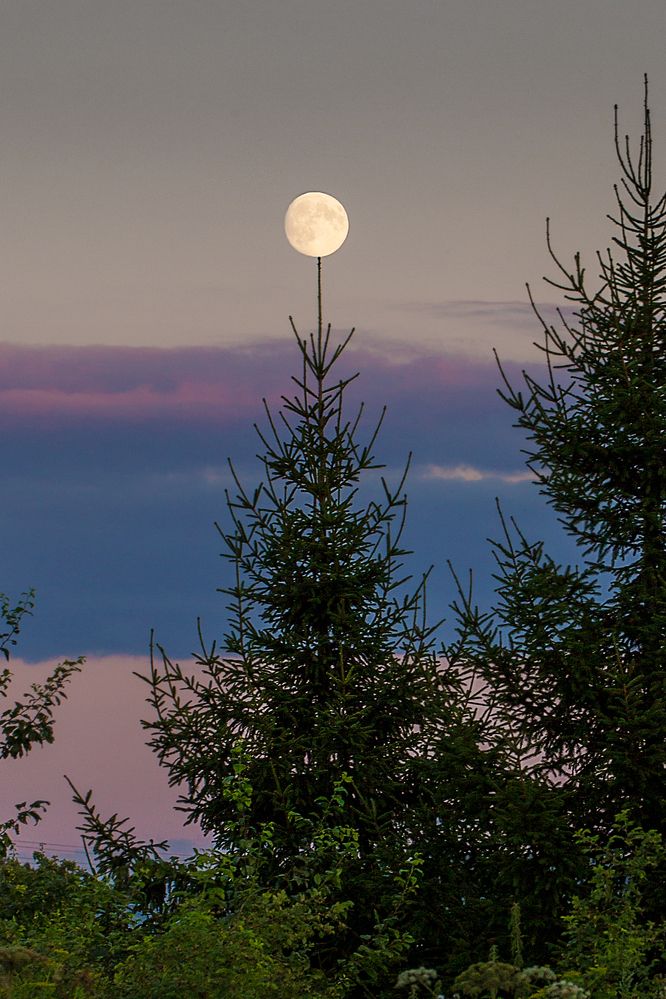 Photograph by Михаил