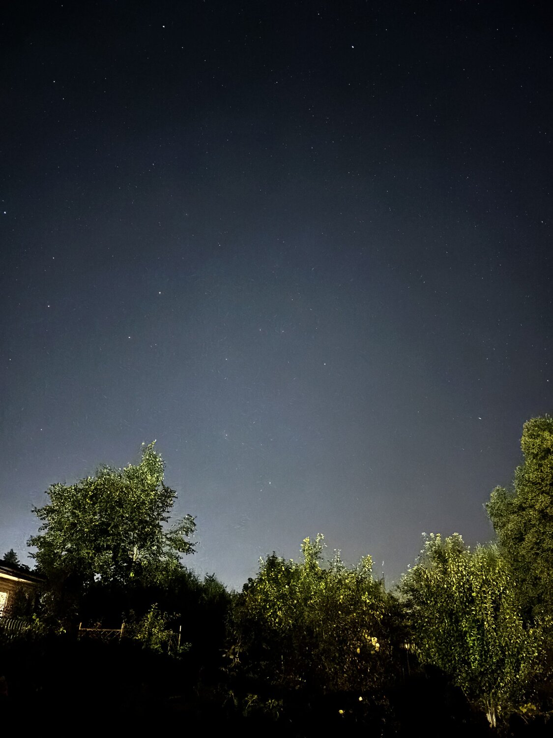 Photo #12490413