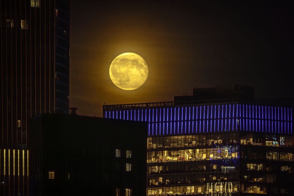 Photograph by Игорь Юркин