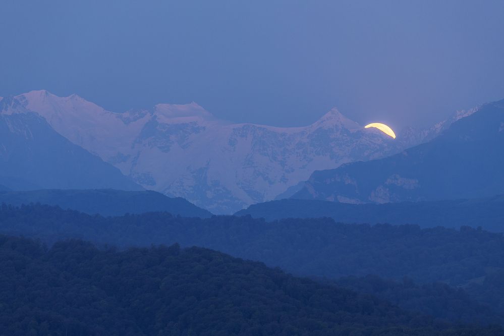 Photograph by Ekaterina Romanova