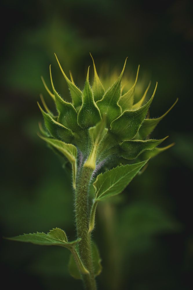 Photograph by Julia Andreeva