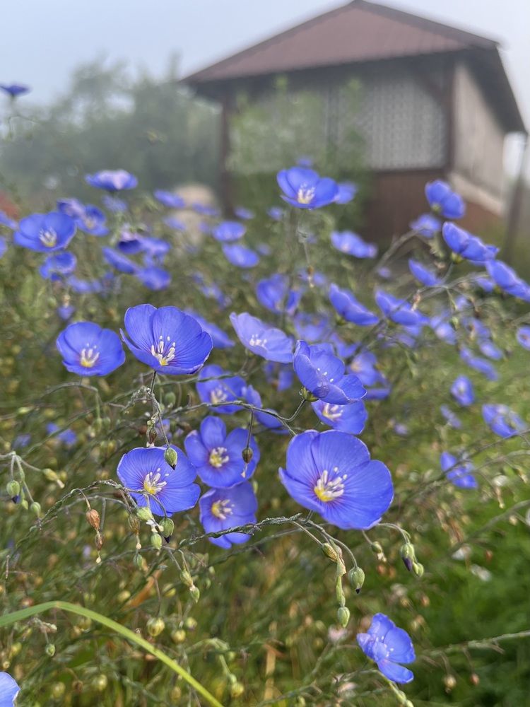 Фотография автора Виктория Ляпина