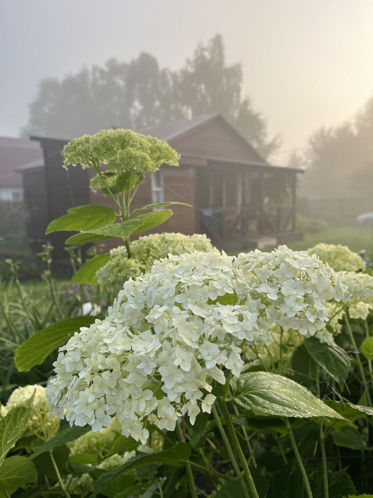 Фотография автора Виктория Ляпина
