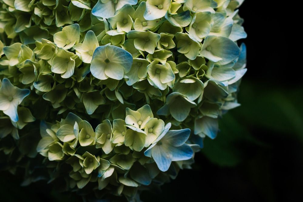 Фотография автора Gerun Ekaterina