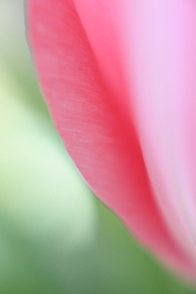 Photograph by Ирина Шидловская