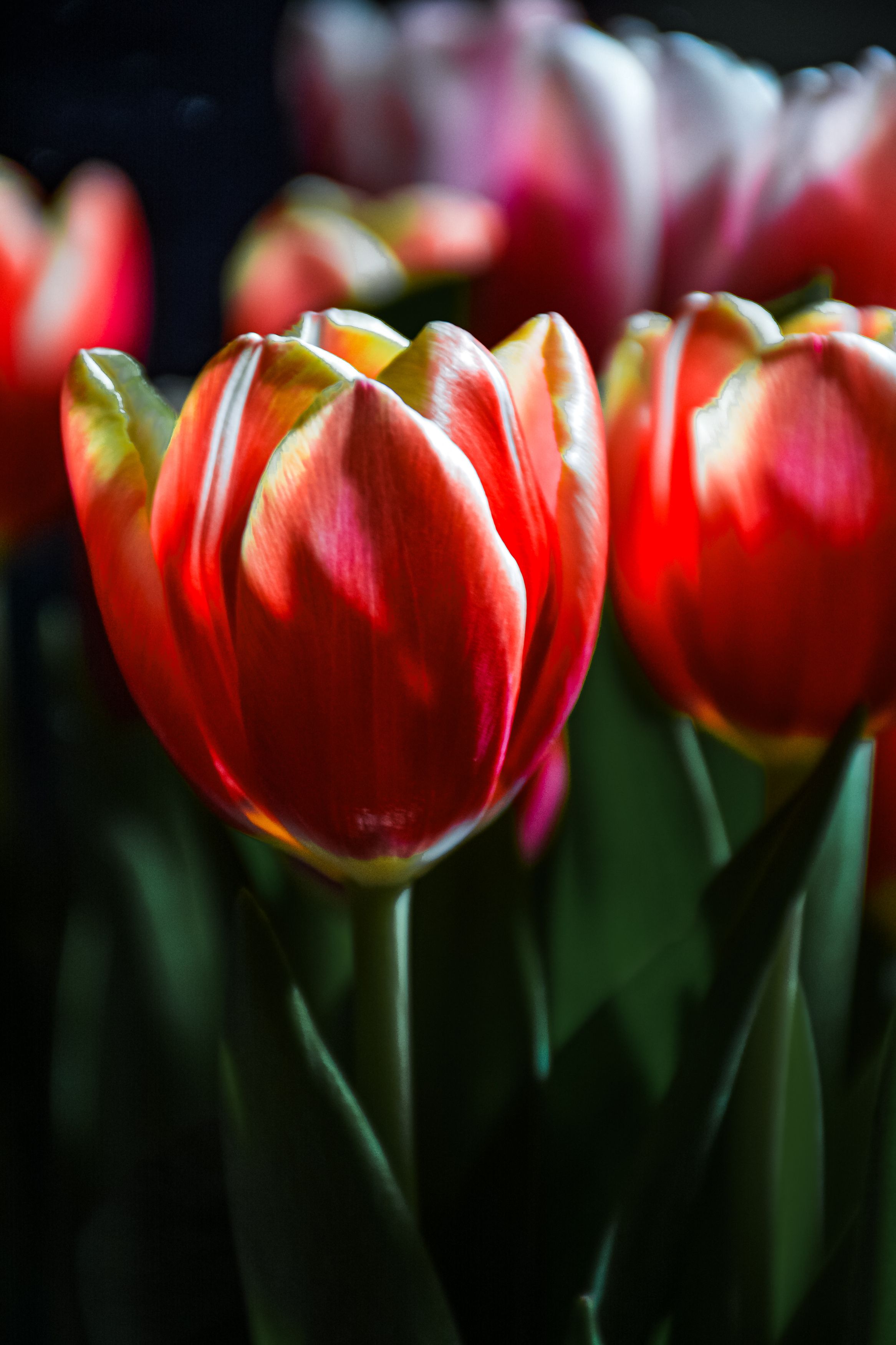 Photograph by Людмила Баймухаметова