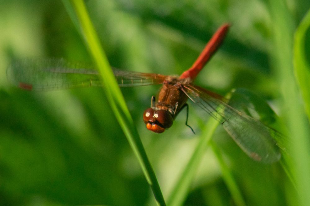 Photograph by Юрий Клишин