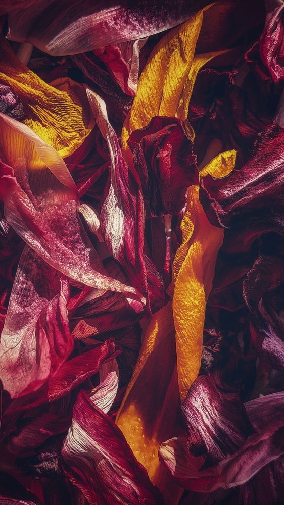 Photograph by Ирина Шидловская