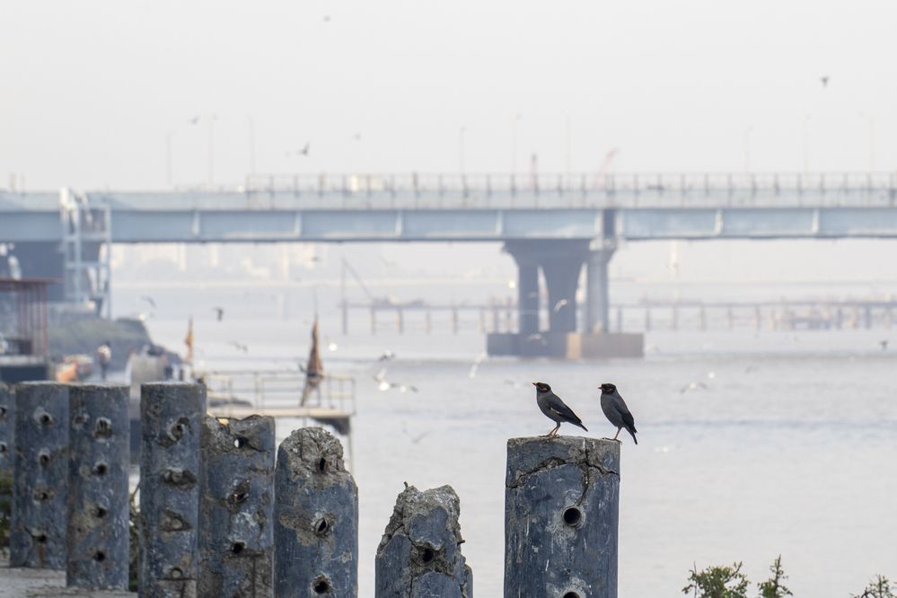 Photograph by Dhruv Chauhan