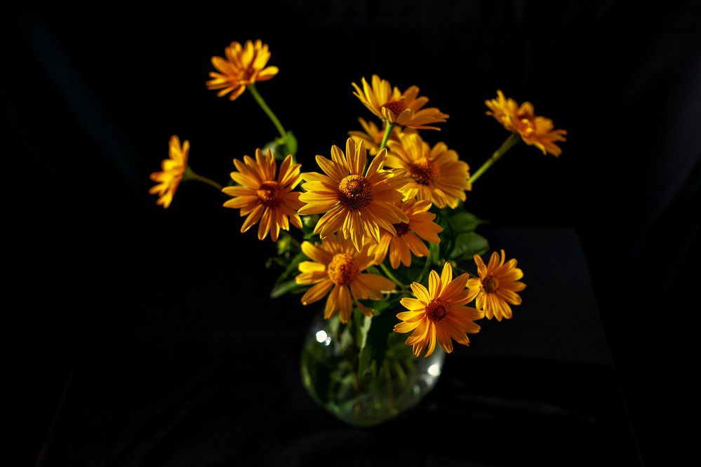 Photograph by Dmitry Grunin