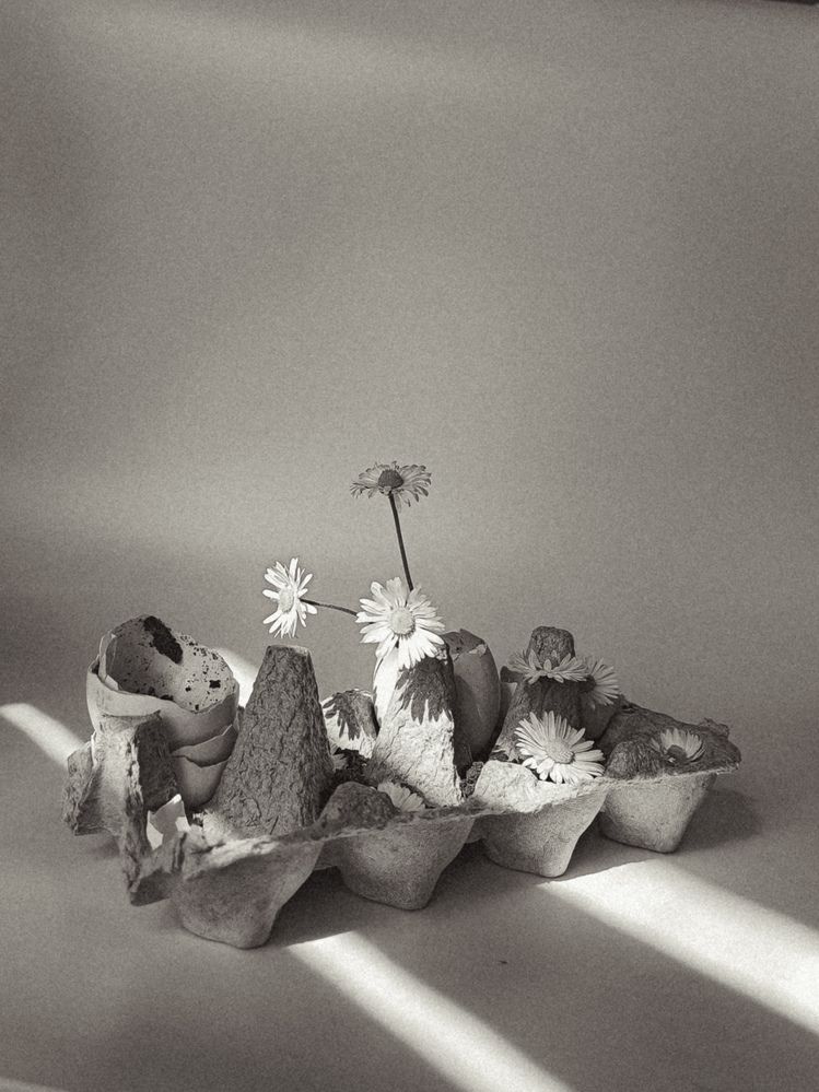 Фотография автора Ирина Романовская