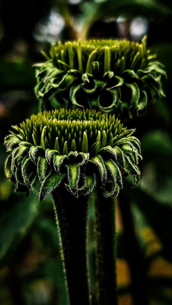Photograph by Елена Глинская