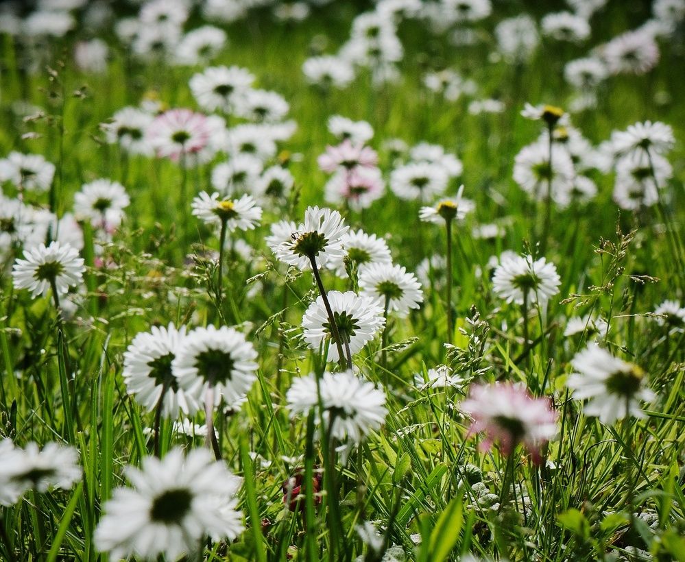 Photograph by Aleksandra Bistrova