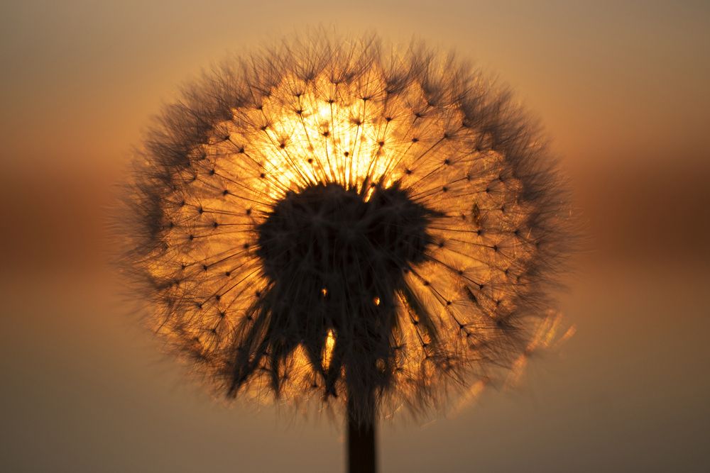 Photograph by ARTEM KORZHUKOV