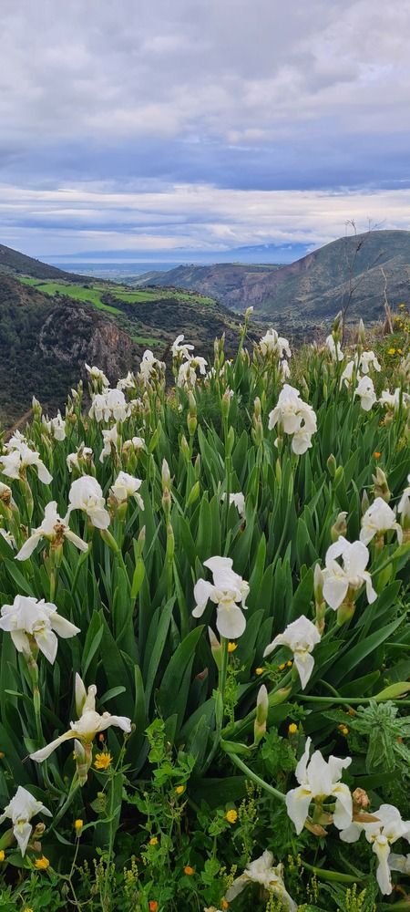 Photograph by Nadzeya