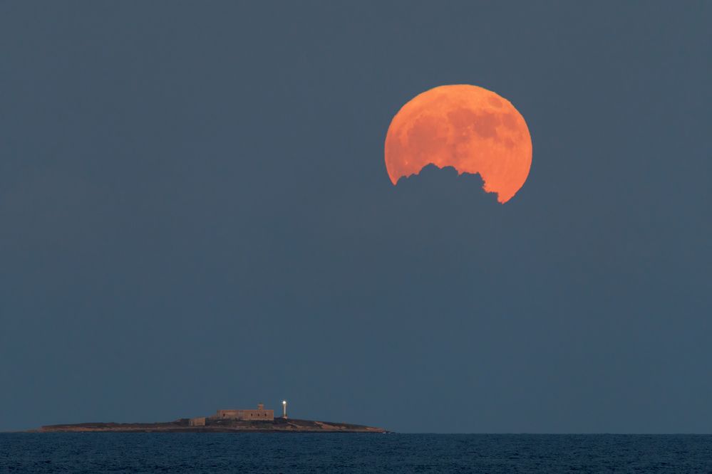 Photograph by Fabio Cartelli