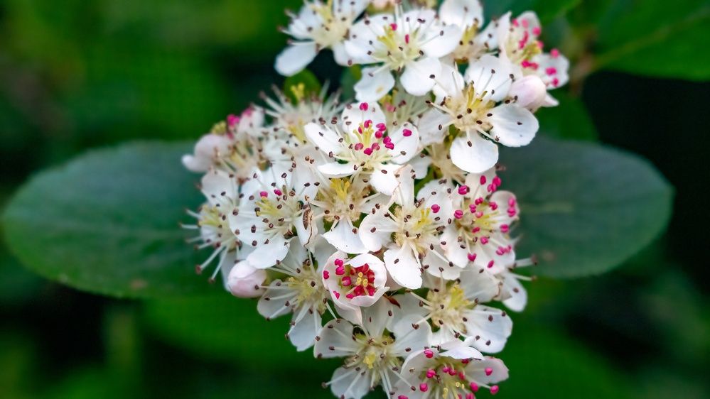 Фотография автора Ольга Зимина