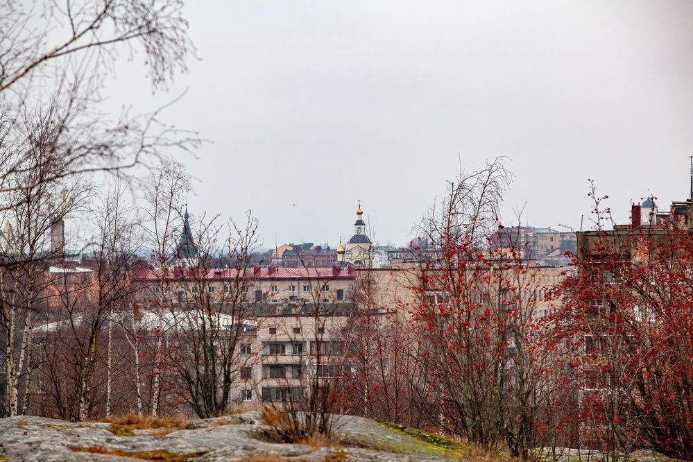 Фотография автора Ольга Зимина
