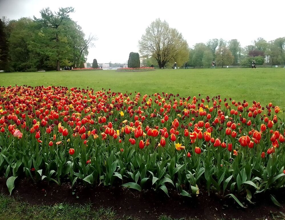 Photograph by Irina Mihailovskaya