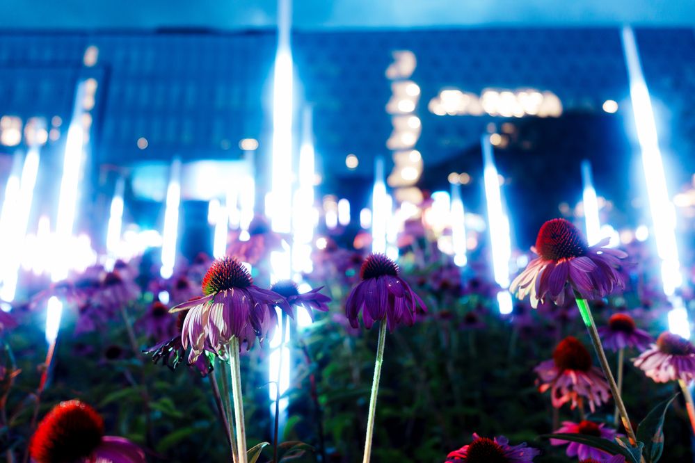 Photograph by Арсений Крят