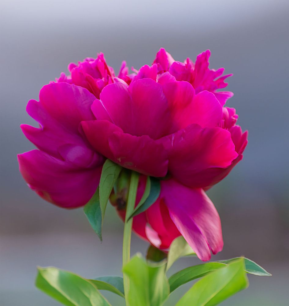 Photograph by Пушкин Сергей