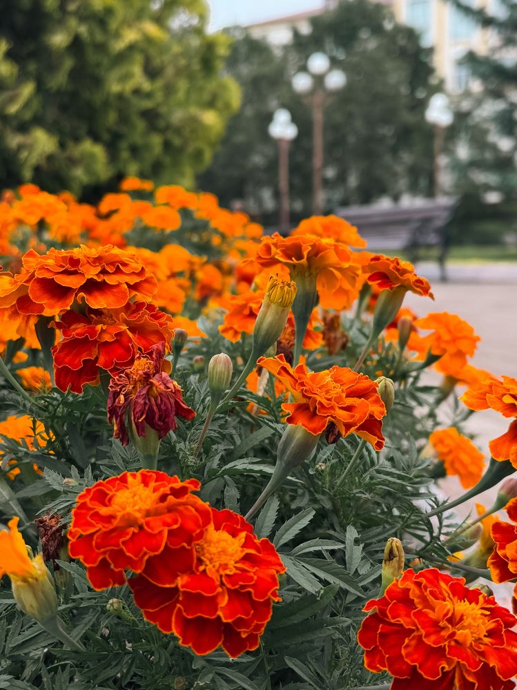 Photograph by Uladzimir Hvozd