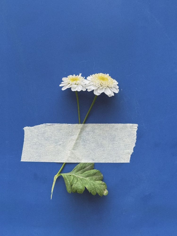 Photograph by Uladzimir Hvozd