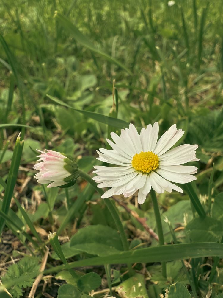Photograph by Uladzimir Hvozd
