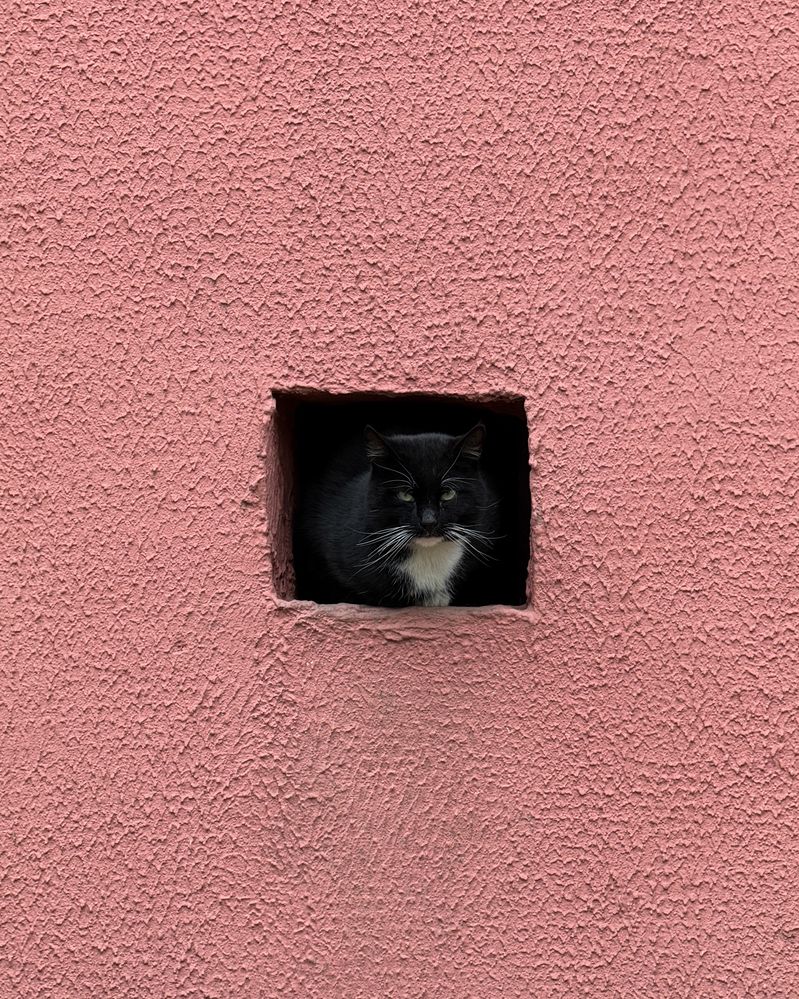 Photograph by Uladzimir Hvozd