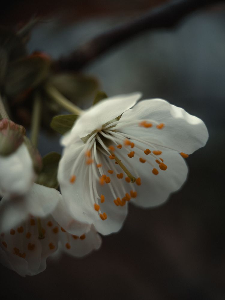 Photograph by Анна Голубцова