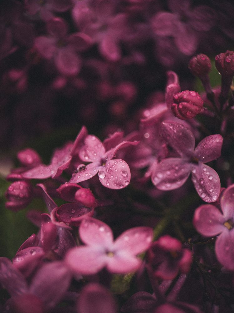 Photograph by Анна Голубцова